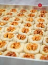 Cevizli Bülbül Yuvası